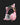 Audífonos Periféricos Gamer Onikuma X15 Pro RGB Cat Ears